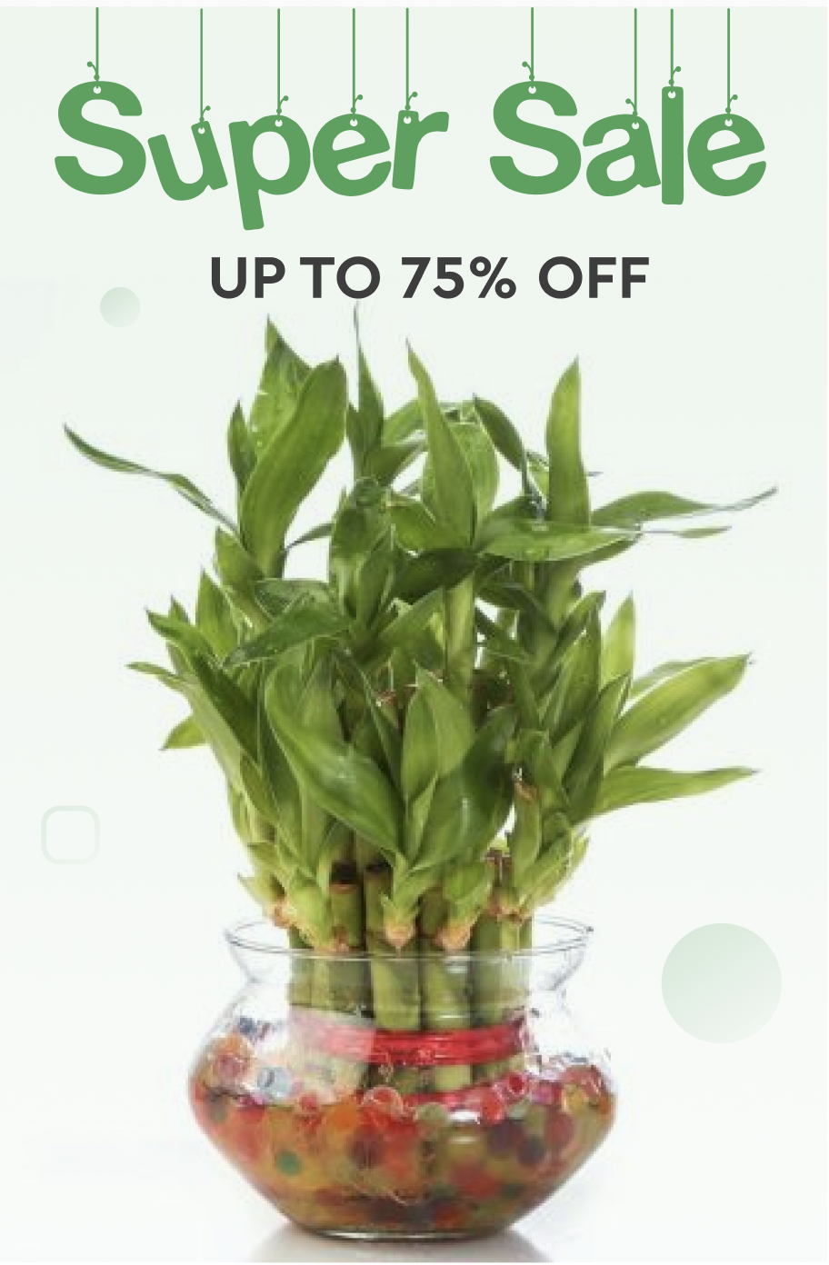 sales